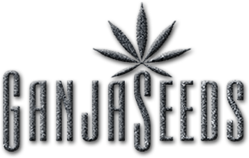 GanjaSeeds tohum bankası markası