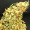 Mardin’de  Auto Super Bud feminised Ganja Seeds kenevir tohumu