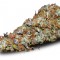 Auto Namor feminised GanjaVIP Seeds Elit kenevir çeşidi tohumları