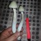 Panaeolus Cambodginiensis spor süspansiyonu